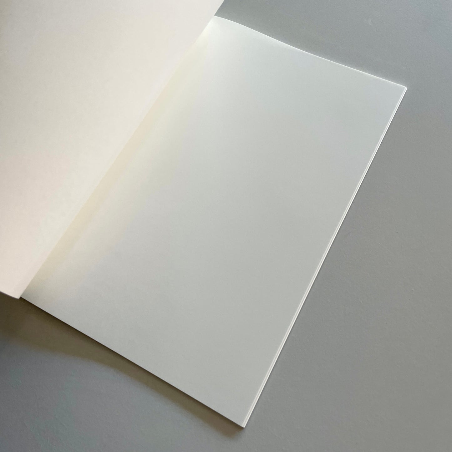 Tomoe River Blank Soft Cover Notebook