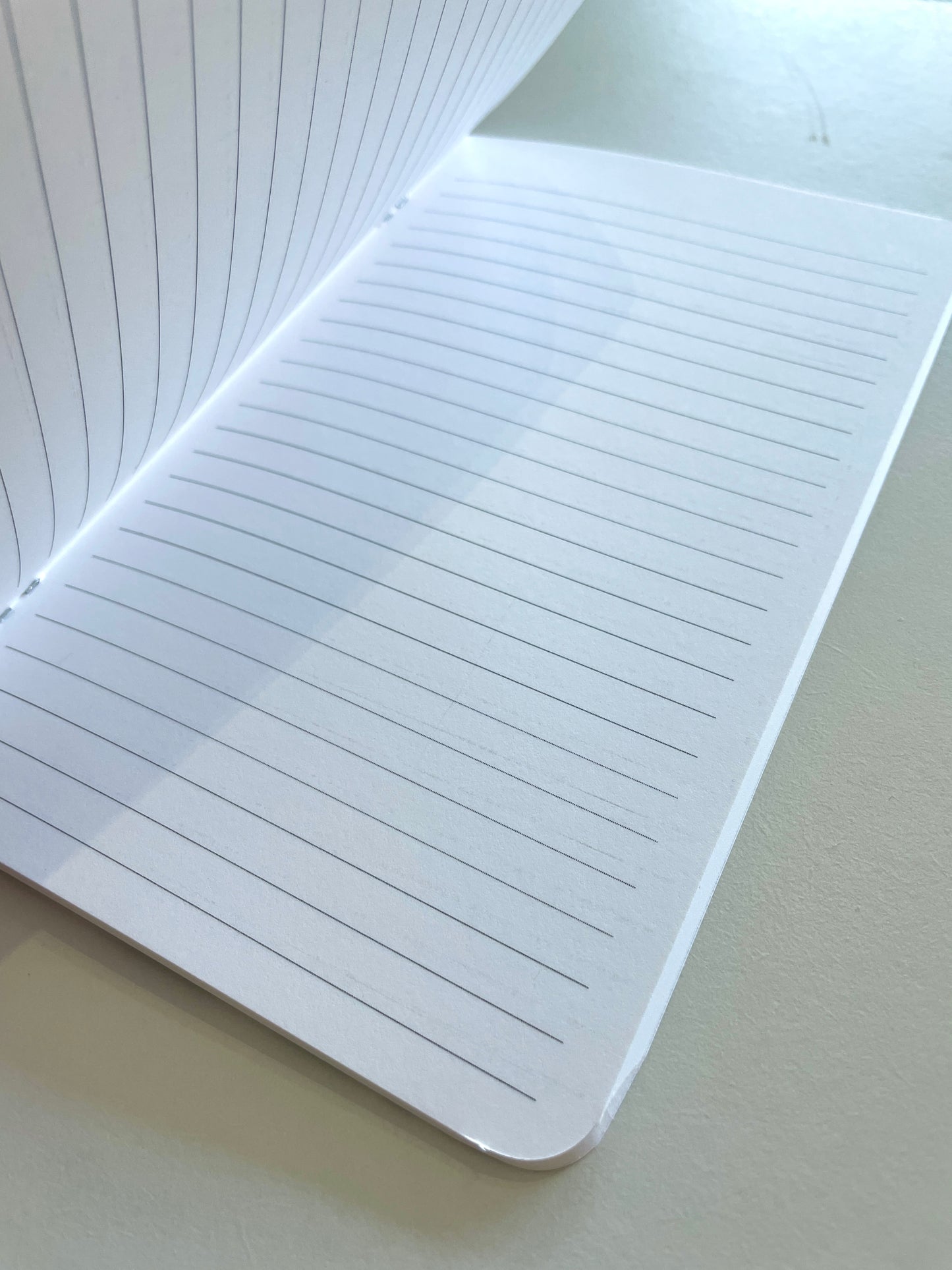 Monstera Notebook