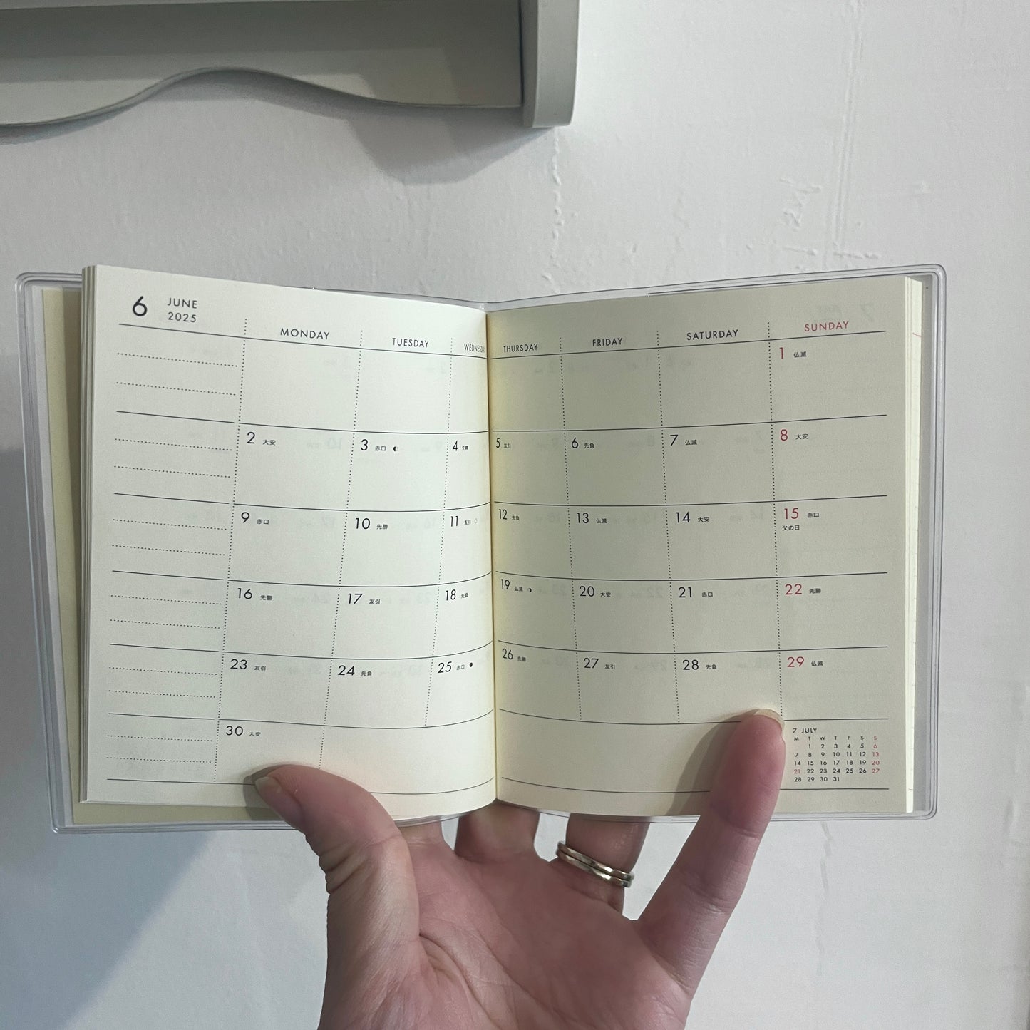 2025 Monthly Square Cactus Planner