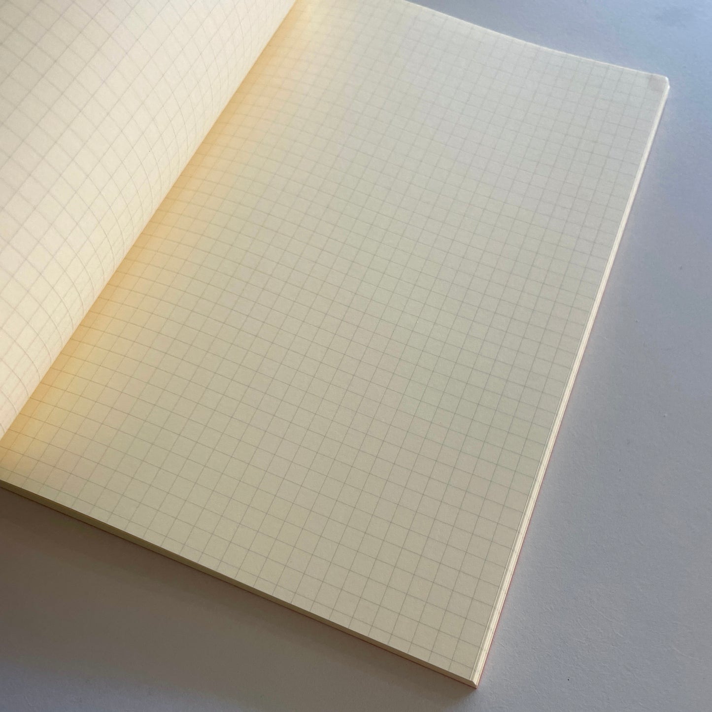 Life Grid Notebook