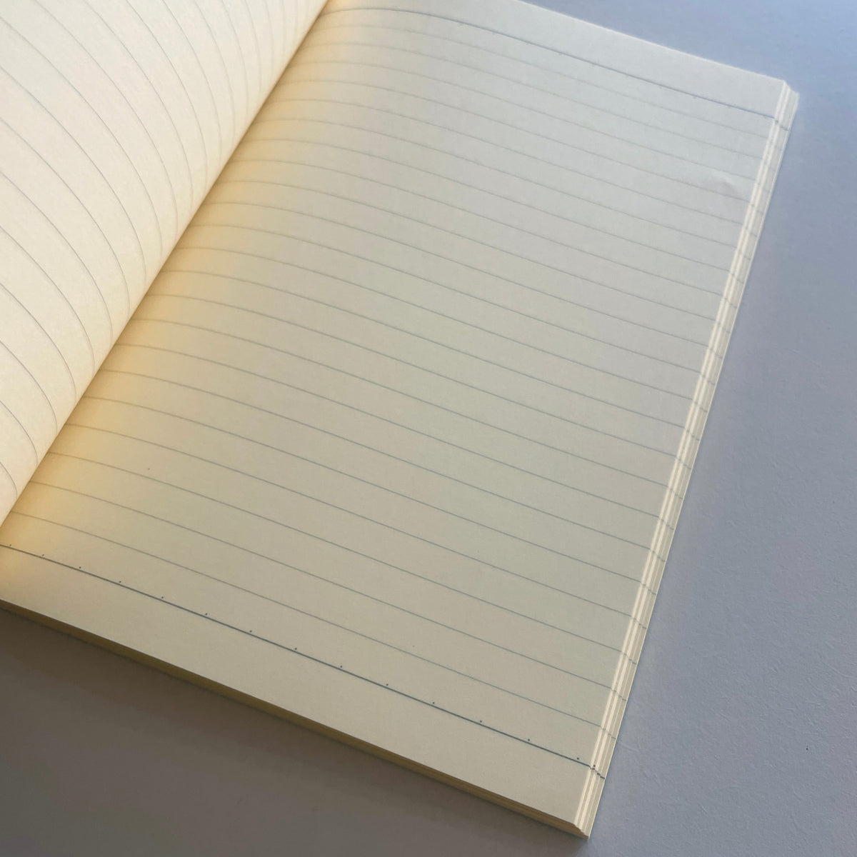 Lifeed Notebook Life Ruled Notebook – Semantics Paper Goods