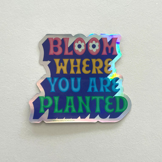 Bloom Where You Are Planted Sticker