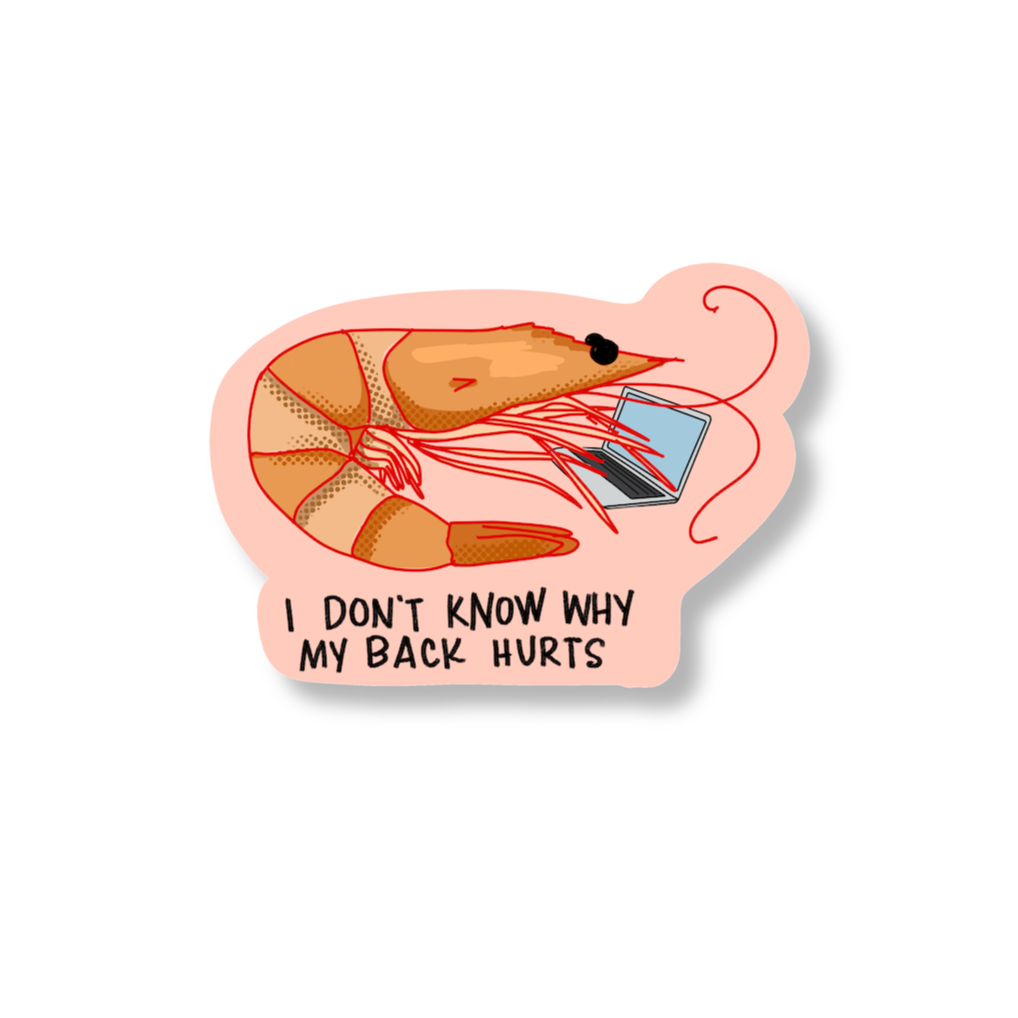 Illustration of a shrimp with a laptop on its back and text 'I DON'T KNOW WHY MY BACK HURTS' on a pink background.