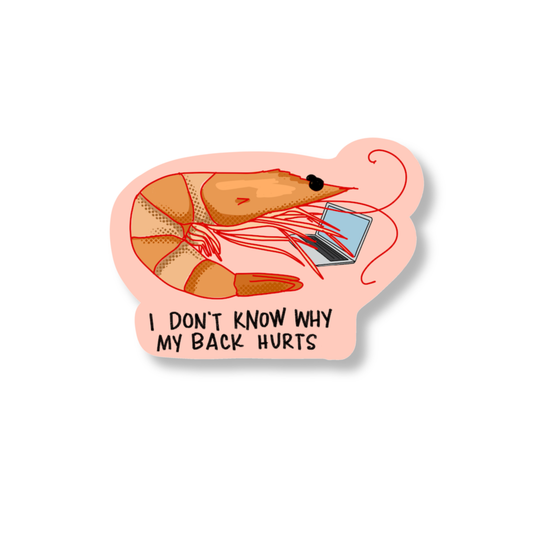 Illustration of a shrimp with a laptop on its back and text 'I DON'T KNOW WHY MY BACK HURTS' on a pink background.